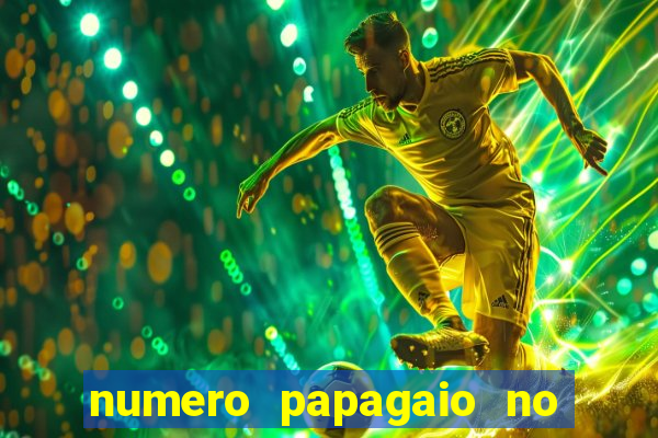 numero papagaio no jogo do bicho